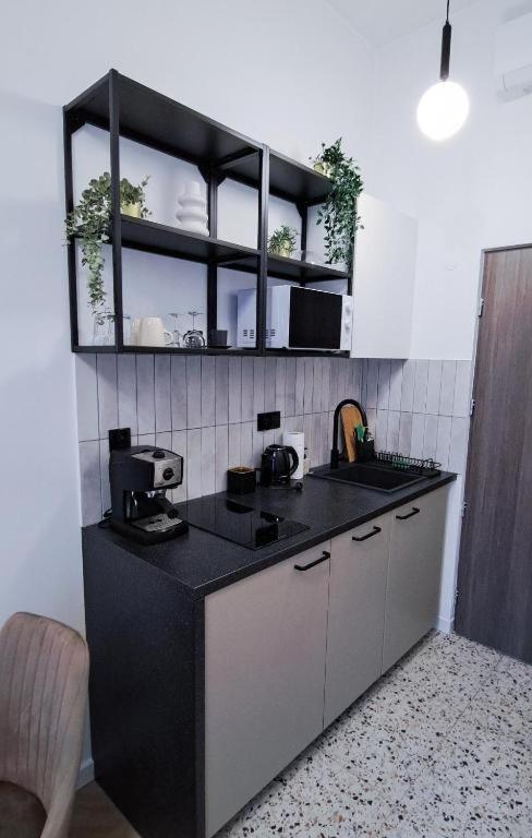 Lion Apartments - Premium Studio With Balcony 克拉科夫 外观 照片
